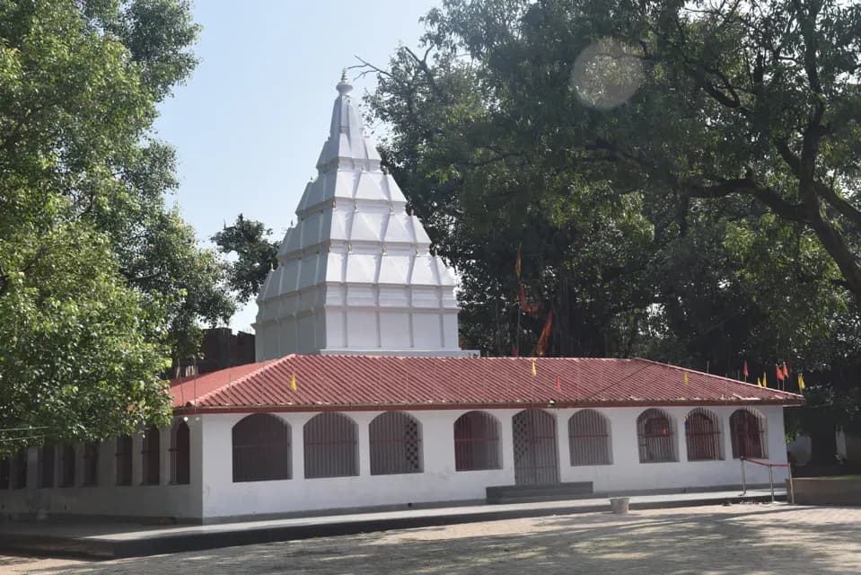 The white shikhara of the Mahamaya temple in Ambikapur